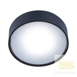 Viokef Ceiling Light Dark Grey  Ibiza 4298800