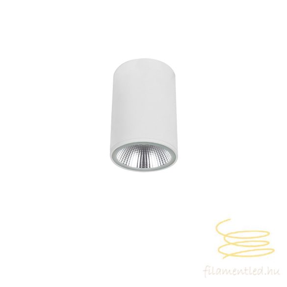 Viokef Ceiling Spot Light White Dermot 4334800