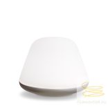 HERSTAL BLOOM LARGE TABLE LAMP D380 SATIN SILVER E27 HV462120718