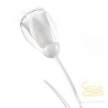 ONLI LUME GRANDE ANTRON 2 LUCI COL.BIANCO 4802/LGV