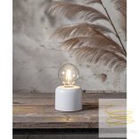 Startrading LED White Filament Dimmerable G95 Clear E27 7W 2700K ST352-83
