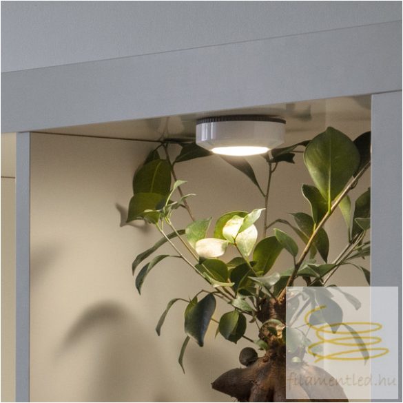 STARTRADING LED Nightlight Functional ST357-29