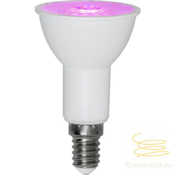 STARTRADING LED PLANT LAMP R50 HYBRID E14 3,5W REDK ST357-38 ST357-39
