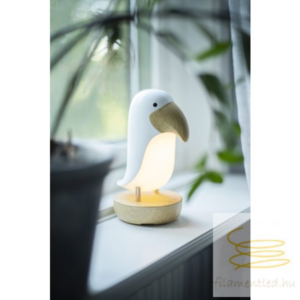STARTRADING LED Nightlight Functional TOUCAN BIRD ST357-68