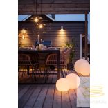 STARTRADING LED FILAMENT PC G95 CLEAR E27 1W 2700K ST359-25-1
