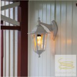 Startrading LED lamp E27 T40 Flame 361-57