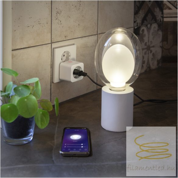 Startrading Accessory Smart Plug Indoor 369-01