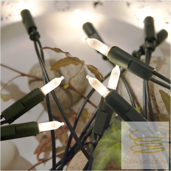 Startrading Light Chain P-LED Indoor 20L 421-10-1