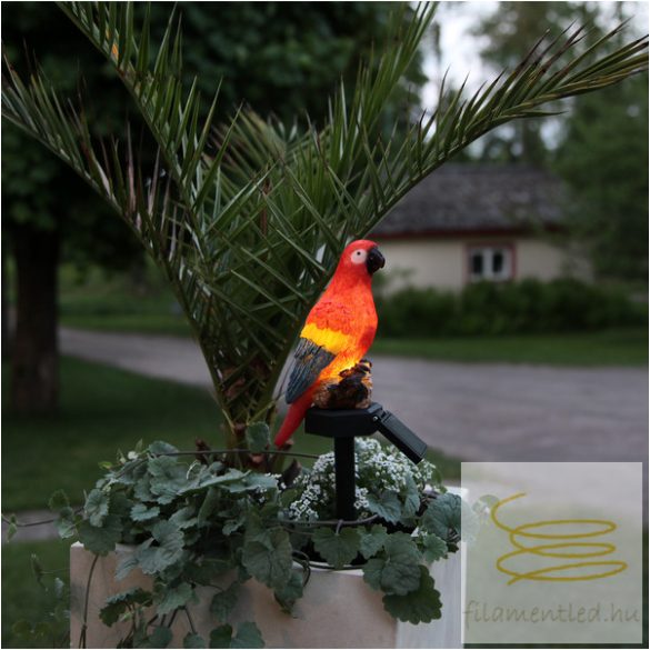Startrading Solar Decoration Goja 480-76