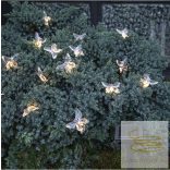 Startrading Solar Light Chain Papillon 482-07