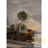 STARTRADING SOLAR DECORATION MARRON 482-93-1