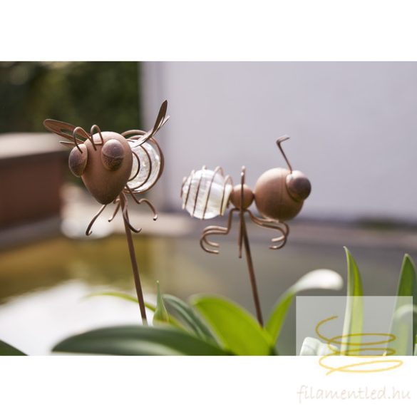 STARTRADING SOLAR DECORATION OXIDA 483-13