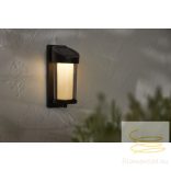 STARTRADING SOLAR WALL LANTERN ALIPPA 483-18
