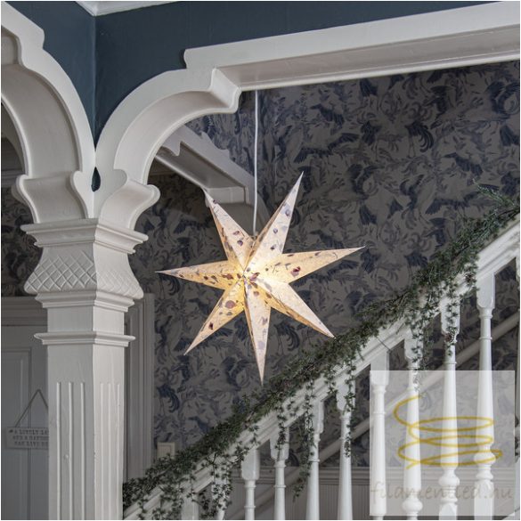 Startrading Paper Star CARE 502-54