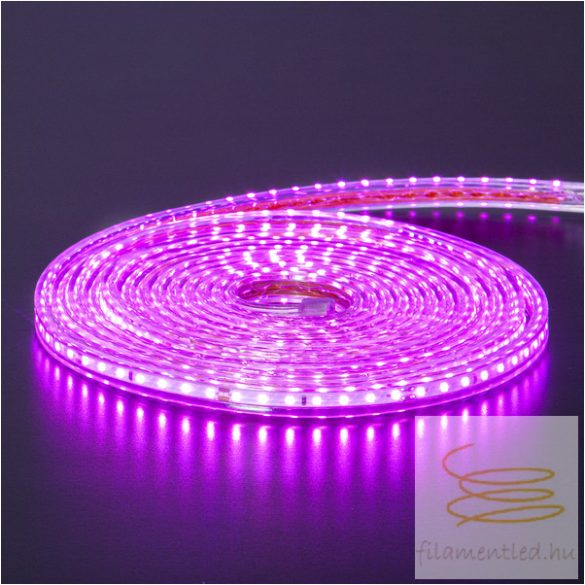 Startrading Rope Light FlatSMDLED 563-45