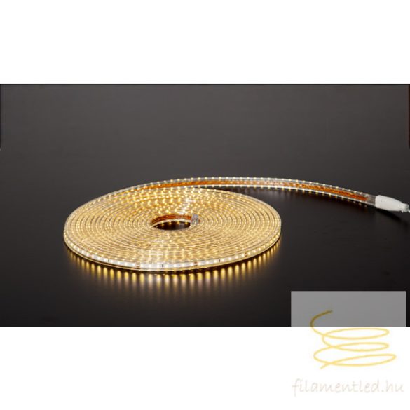 Startrading Rope Light FlatSMDLED 563-47