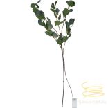 Startrading Decorative Twig Eucalyptus 581-31