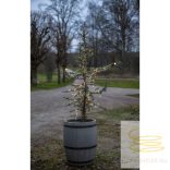 Startrading Light Chain Dew Drop Micro 590-82