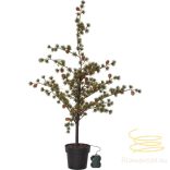 Startrading Decorative Tree Larix 606-81