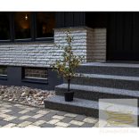 Startrading Decorative Tree Larix 606-81
