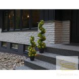 Startrading Decorative Tree Buxbom 606-83