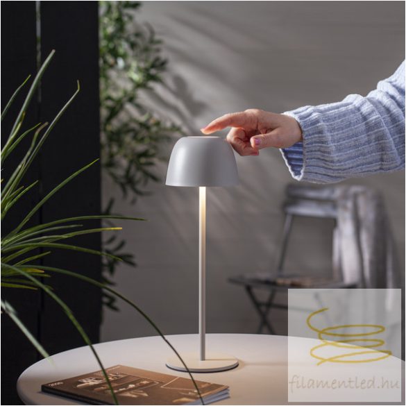Startrading Table Lamp Ronda 803-17