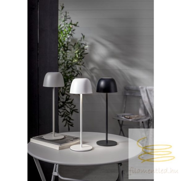 Startrading Table Lamp Ronda 803-18