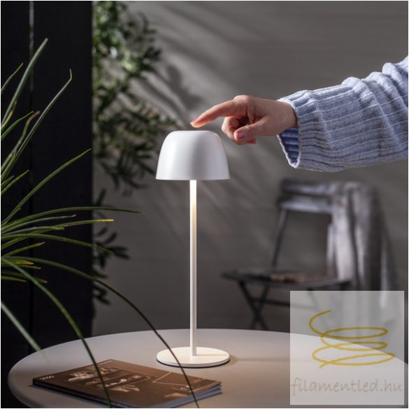 Startrading Table Lamp Ronda 803-19