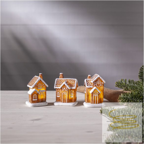 Startrading Display Gingerville 990-99-87